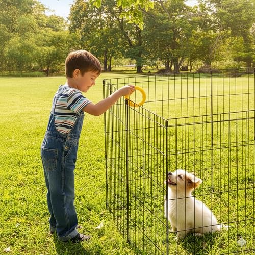 Best image of dog pens
