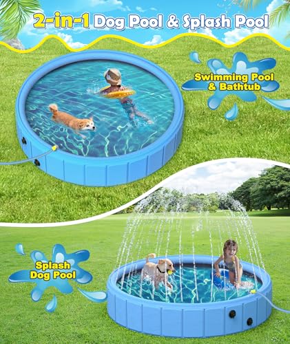 Best image of dog pools
