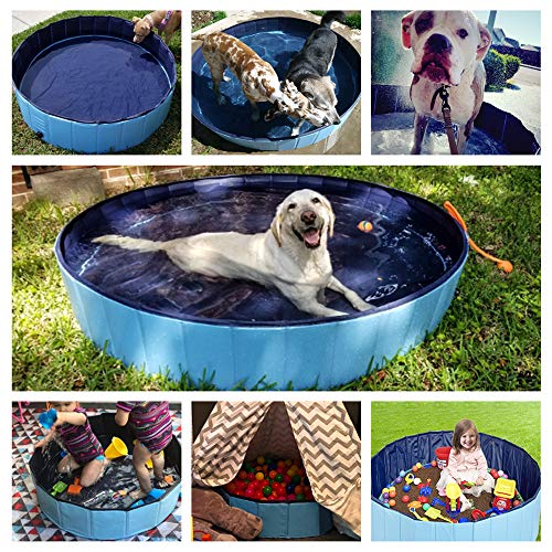 Best image of dog pools