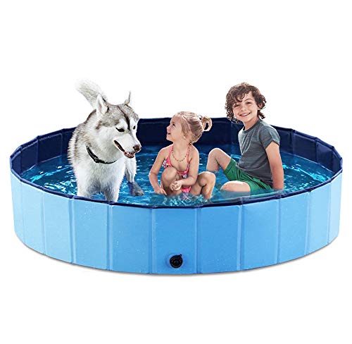 Best image of dog pools