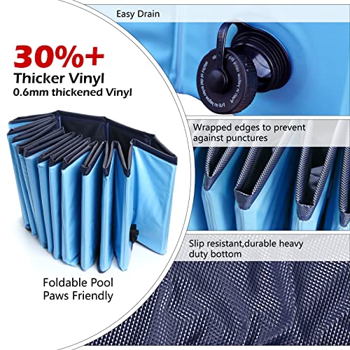 Best image of dog pools