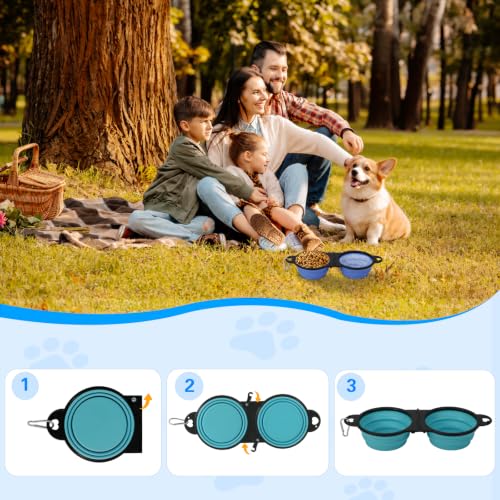 Best image of dog travel bowls