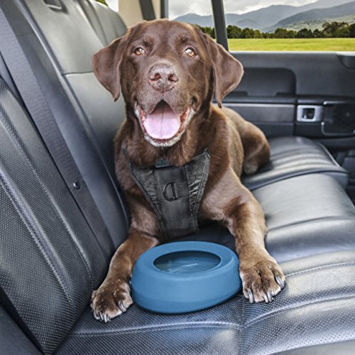 Best image of dog travel bowls