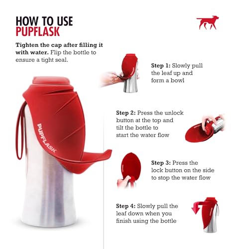 Best image of dog water bottles