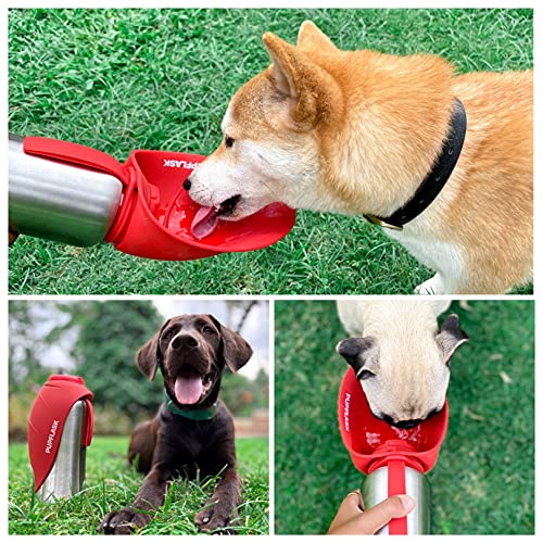 Best image of dog water bottles
