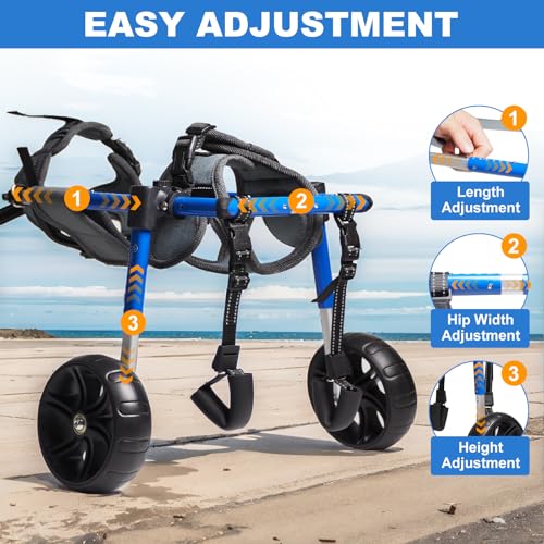 Best image of dog wheelchairs
