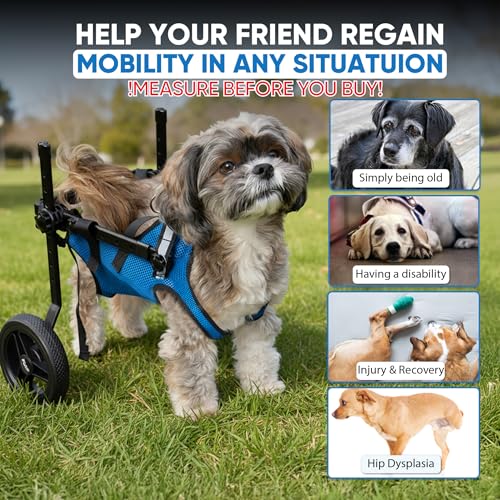 Best image of dog wheelchairs