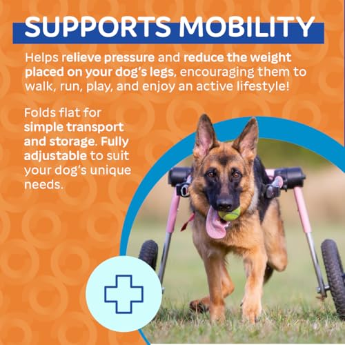 Best image of dog wheelchairs