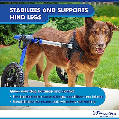 Best image of dog wheelchairs