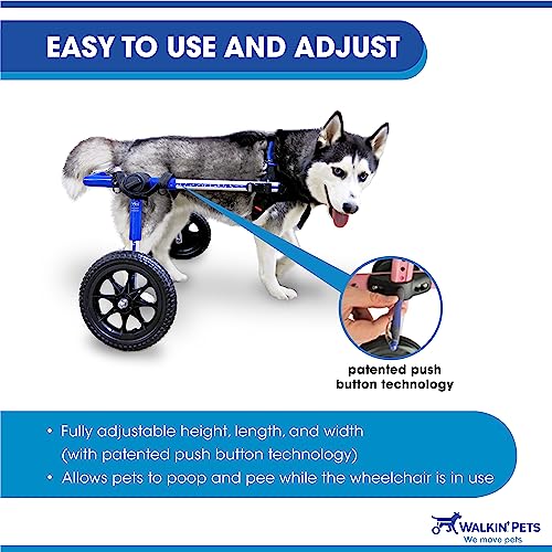 Best image of dog wheelchairs