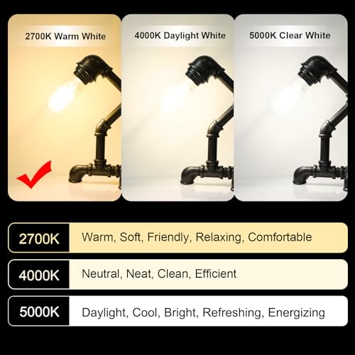 Best image of edison light bulbs