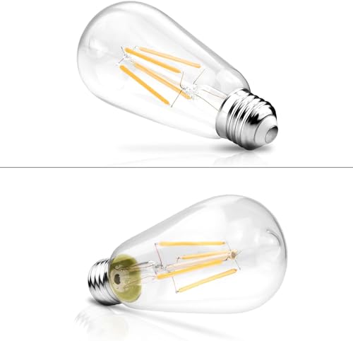Best image of edison light bulbs