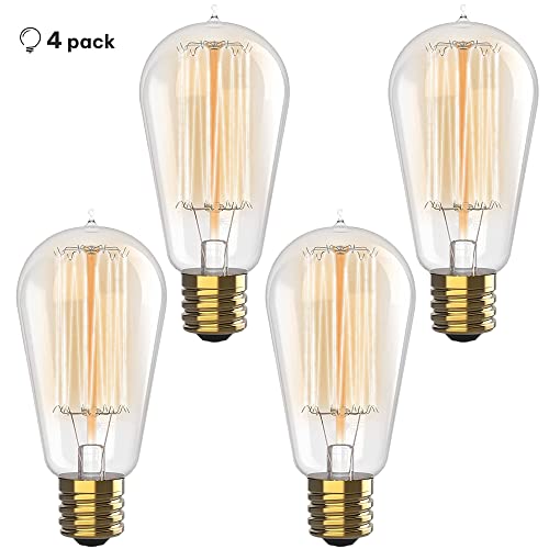 Best image of edison light bulbs