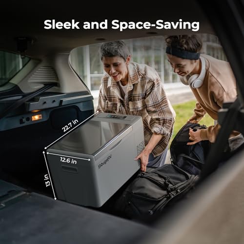 Best image of electric coolers