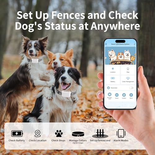 Best image of electric dog fences