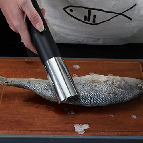 Best image of electric fish scalers