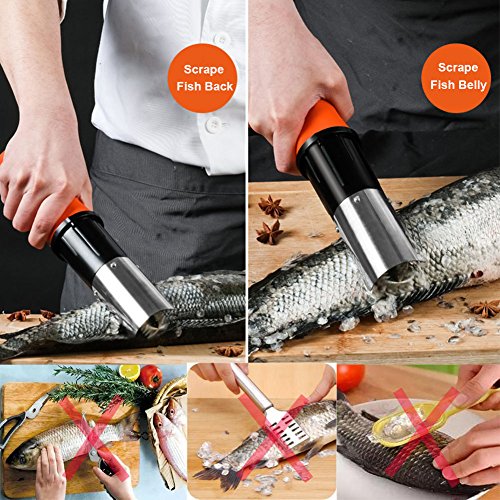 Best image of electric fish scalers
