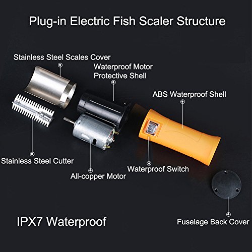 9 Best Electric Fish Scalers - Our Picks, Alternatives & Reviews