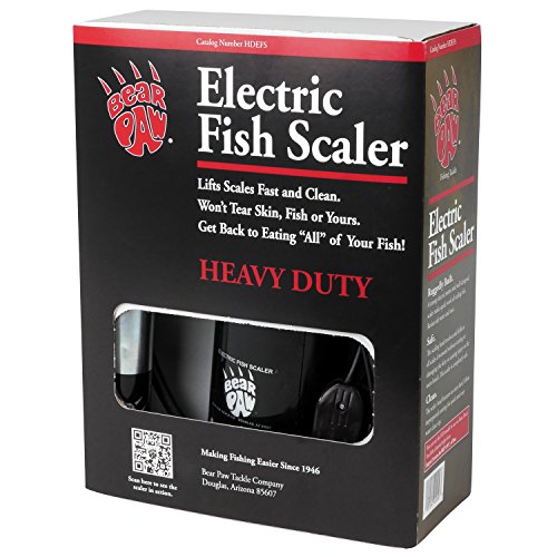 9 Best Electric Fish Scalers - Our Picks, Alternatives & Reviews