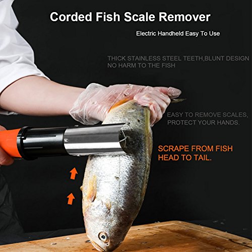 Best image of electric fish scalers