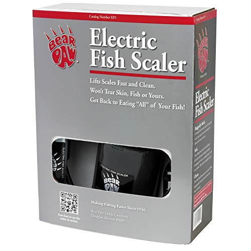 11 Best Electric Fish Scalers - Our Picks, Alternatives & Reviews