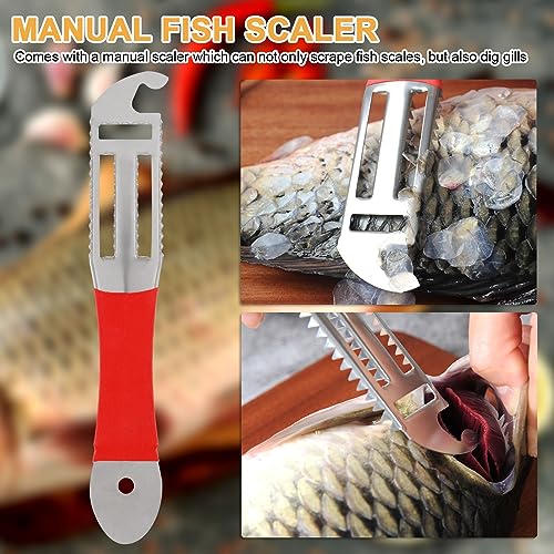 Best image of electric fish scalers