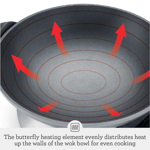 Best image of electric woks