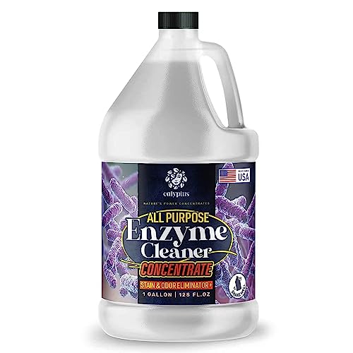 11 Best Enzyme Drain Cleaners Our Picks, Alternatives & Reviews
