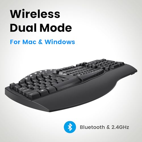 Best image of ergonomic keyboards