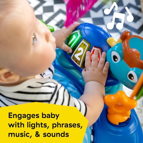 Best image of exersaucers