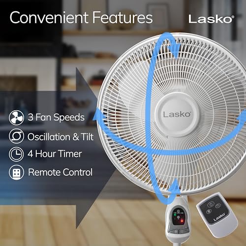 Best image of fans