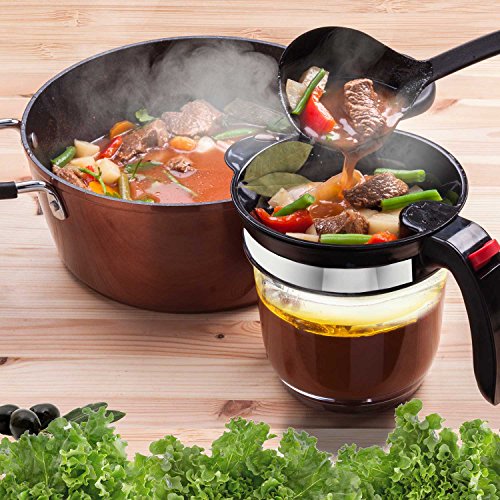 Best image of fat separators