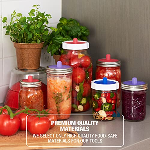 Best image of fermenting kits