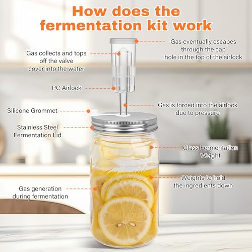 Best image of fermenting kits