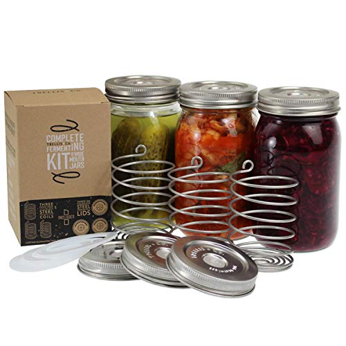 11 Best Fermenting Kits Our Picks, Alternatives & Reviews