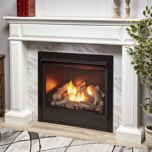 Best image of fireplace inserts