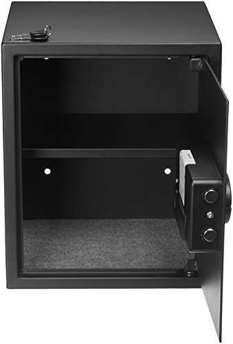 Best image of fireproof safes