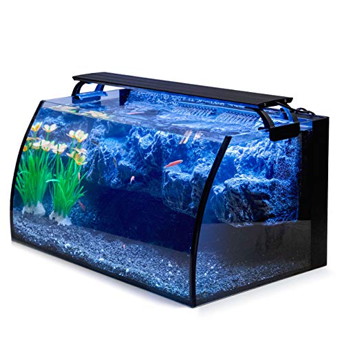Best image of fish tanks