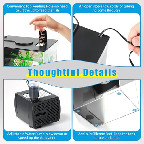 Best image of fish tanks