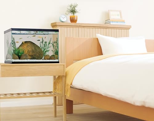 Best image of fish tanks