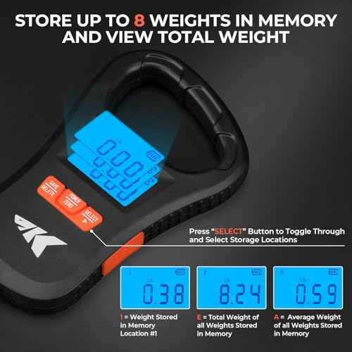 Best image of fishing scales