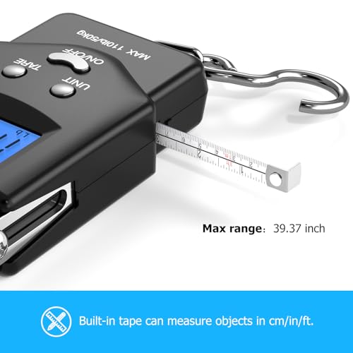 Best image of fishing scales