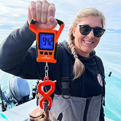 Best image of fishing scales