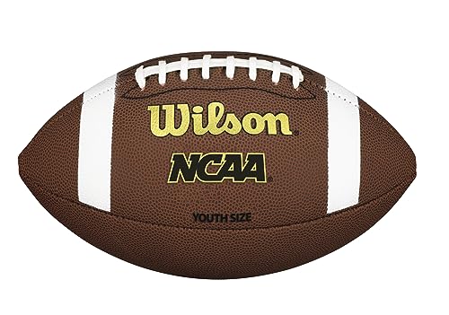 The 8 best Wilson footballs to buy right now