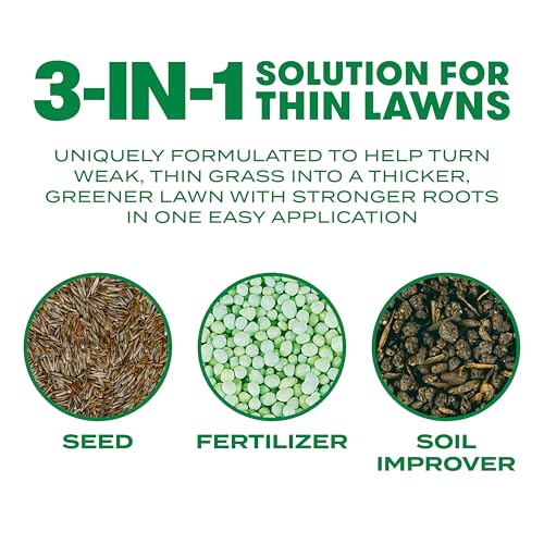 Best image of grass seed