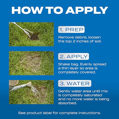 Best image of grass seed