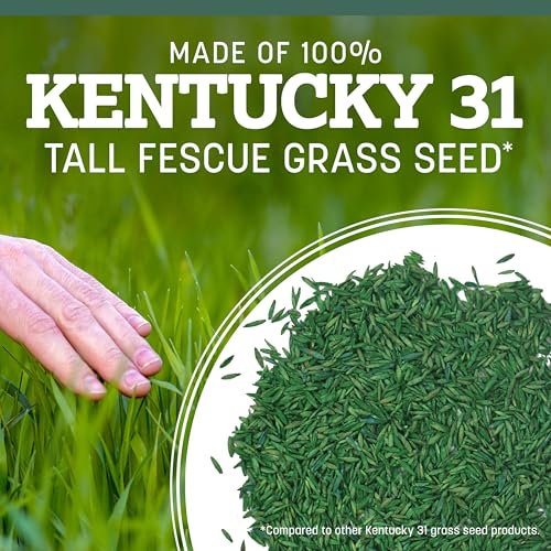 Best image of grass seed