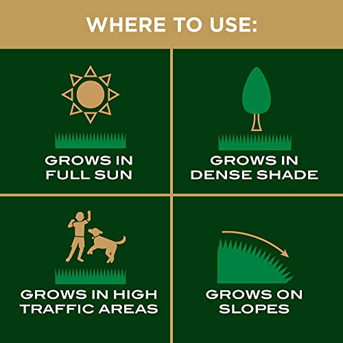 Best image of grass seed