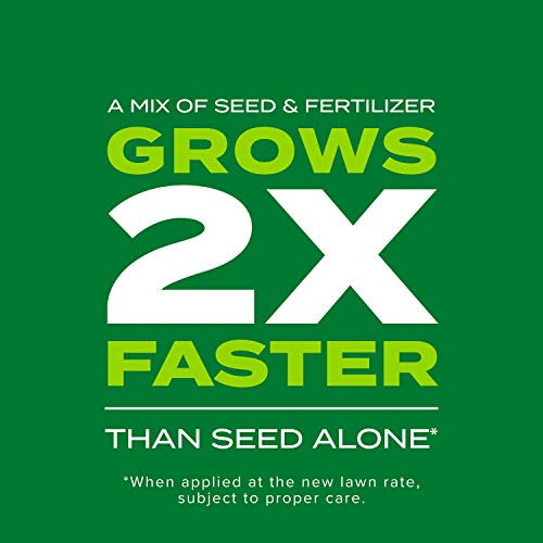 Best image of grass seed