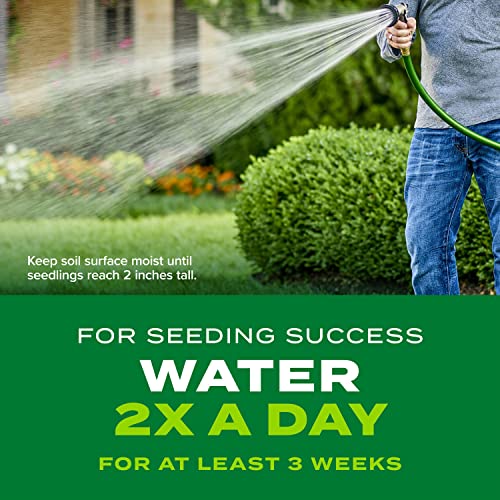 Best image of grass seed